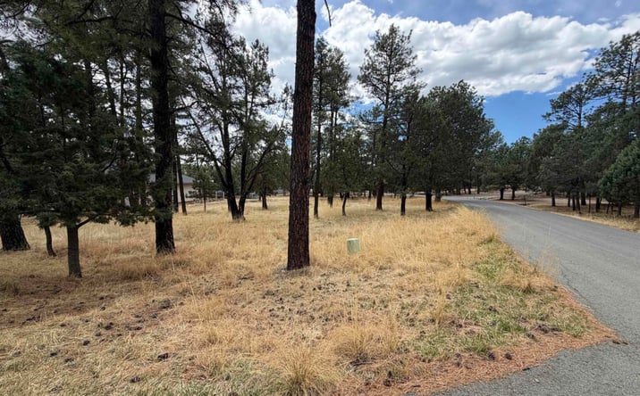 Pictures of Land property located at 101 Mira Monte Road, Alto, NM 88312 for sales - image #1