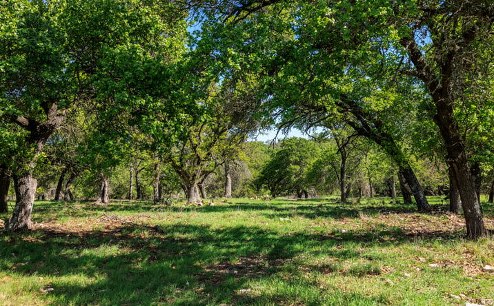 Pictures of Land property located at 257 Dally Road, Fredericksburg, TX 78624, 237 Dally Road, Fredericksburg, TX 78624, 283 Dally Road, Fredericksburg, TX 78624 for sales - image #1