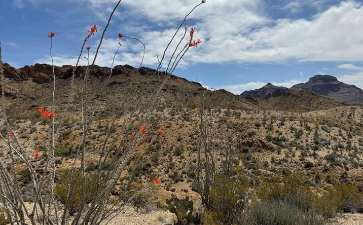 Pictures of Land property located at TR 42 Gate 2 Road, Terlingua, TX 79852 for sales - image #1