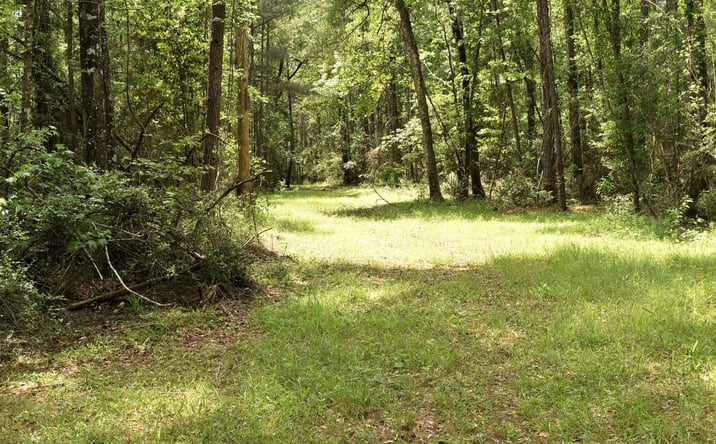 Pictures of Land property located at Tbd Hepzibah Rd, Clinton, LA 70722 for sales - image #1