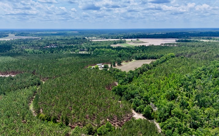Pictures of Land property located at Neily Wagon Road, Mc Rae Helena, GA 31055 for sales - image #1