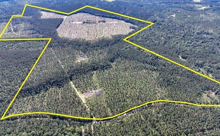 Pictures of Land property located at Fountain Creek Road, Groveton, TX 75845 for sales - image #1
