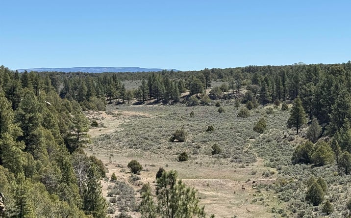 Pictures of Land, Special Purpose property located at TBD Foredst Service Road 144 Forest, Cebolla, NM 87518 for sales - image #1