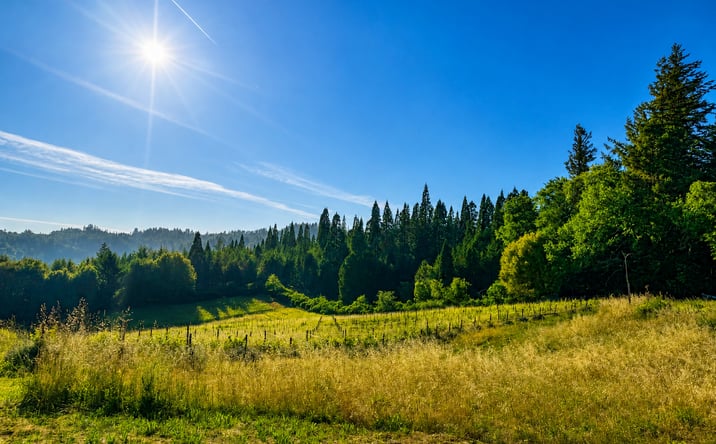 Pictures of Business for Sale, Hospitality, Special Purpose property located at 18516 SKYLINE BLVD, LOS GATOS, CA 95033-8258 for sales - image #1