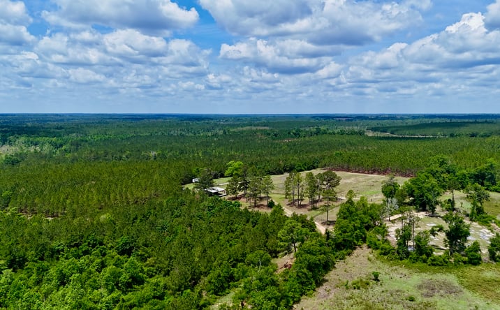 Pictures of Land property located at 0 Neily Wagon Road, Mc Rae Helena, GA 31055 for sales - image #1