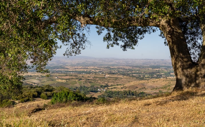 Pictures of Retail, Mixed Use, Land property located at 2762 Adelaida Road, Paso Robles, CA 93446 for sales - image #1