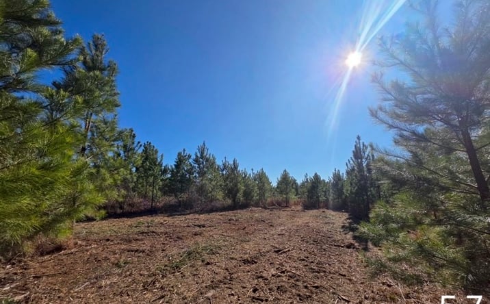 Pictures of Land property located at 0 Chestnut Rd, Slocomb, AL 36375 for sales - image #1