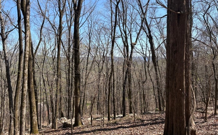 Pictures of Land property located at 0 Catherine Dr, Owens Cross Roads, AL 35763 for sales - image #1