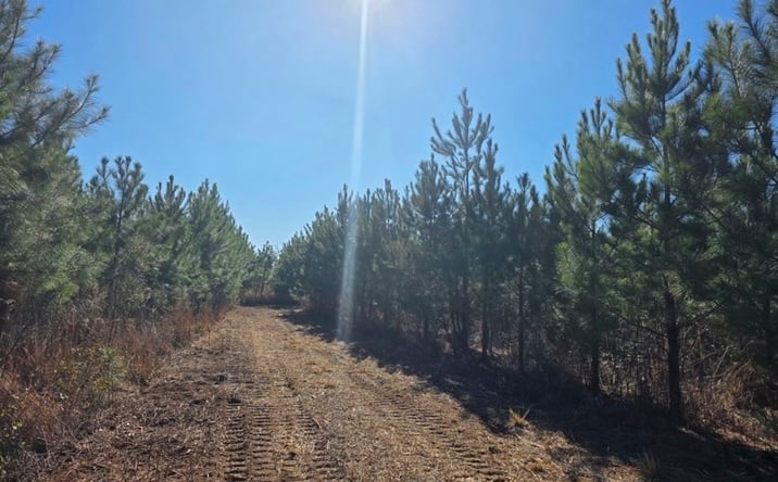 Pictures of Land property located at 0 Chipola Rd, Slocomb, AL 36375 for sales - image #1