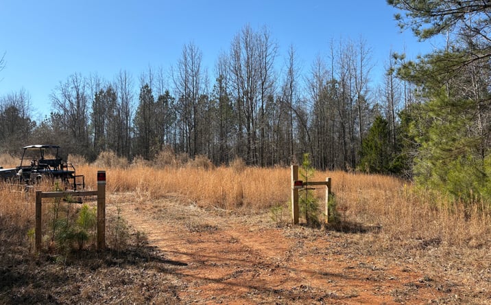 Pictures of Land property located at 71 Orion Ln, Roanoke, AL 36274 for sales - image #1