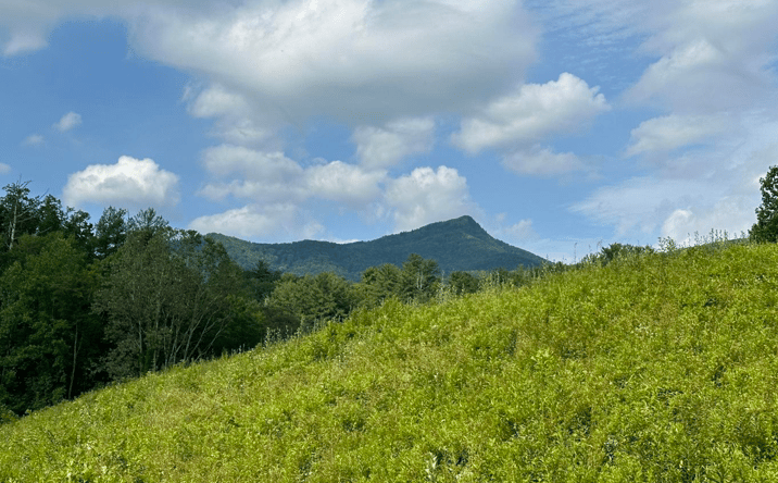 Pictures of Land property located at 0 Barnes Hollow Road, Cosby, TN 37722 for sales - image #1