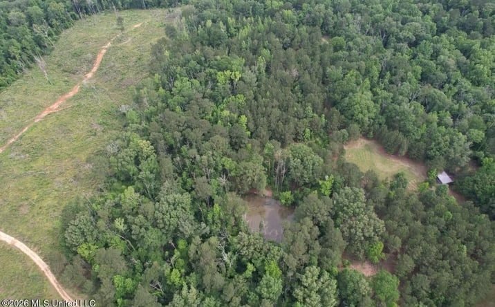 Pictures of Land property located at 4155 Sterling Lane, 69975, MS 39645 for sales - image #1