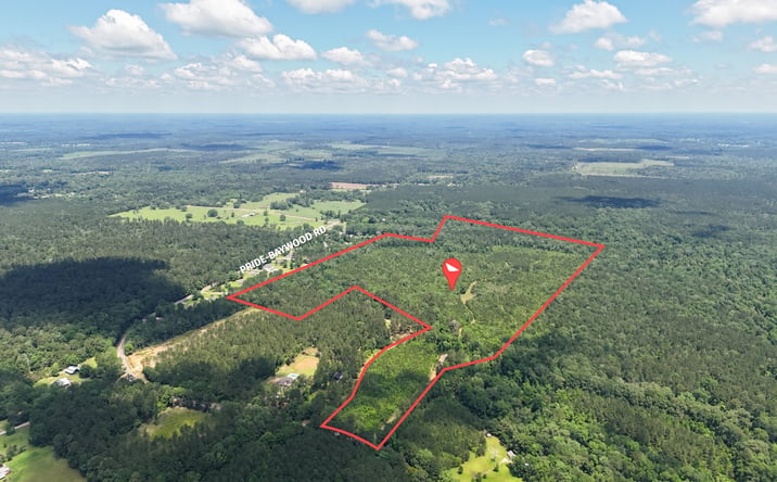 Pictures of Land property located at 20907 Pride-Baywood Road, Greenwell Springs, LA 70739 for sales - image #1