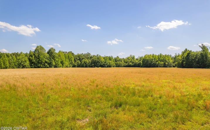 Pictures of Land property located at Plainview Road, Henderson, TN 38340 for sales - image #1