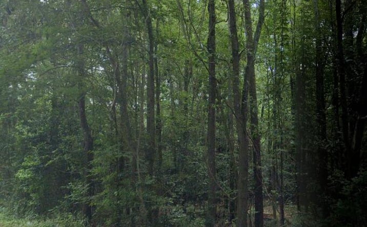 Pictures of Land, Special Purpose property located at 6.5a Bradleyville Road, North Augusta, SC 29841 for sales - image #1