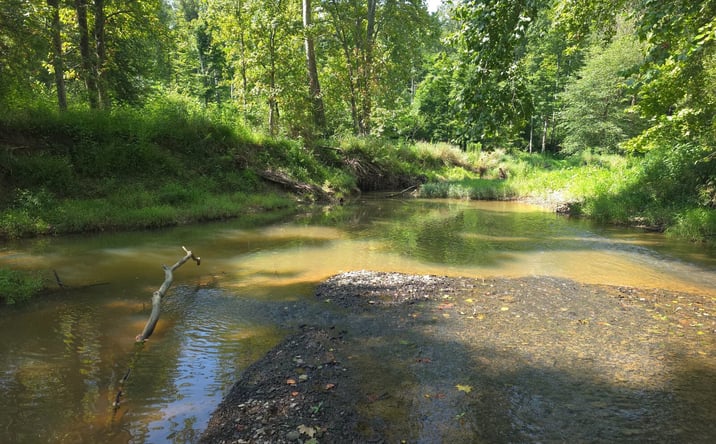Pictures of Land property located at 78+/- Acres, Nashville, IN 47448 for sales - image #1