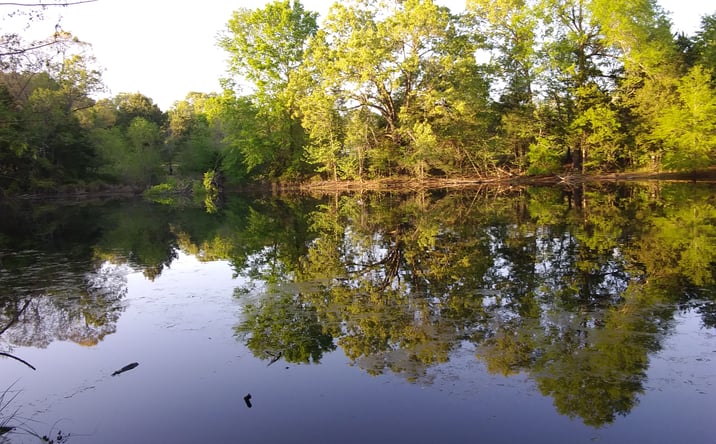 Pictures of Land property located at 1350 COUNTY RD 45400, PARIS, TX 75462 for sales - image #1
