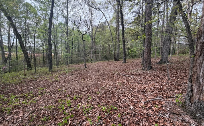 Pictures of Land property located at N County Line Drive, Alto, GA 30510 for sales - image #1