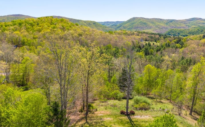 Pictures of Land property located at 408 Fox Ridge Dr, Caldwell, WV 24925 for sales - image #1