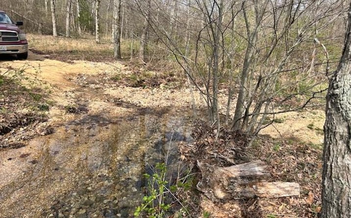 Pictures of Land property located at 413 Kelley Road, Annapolis, MO 63620 for sales - image #1