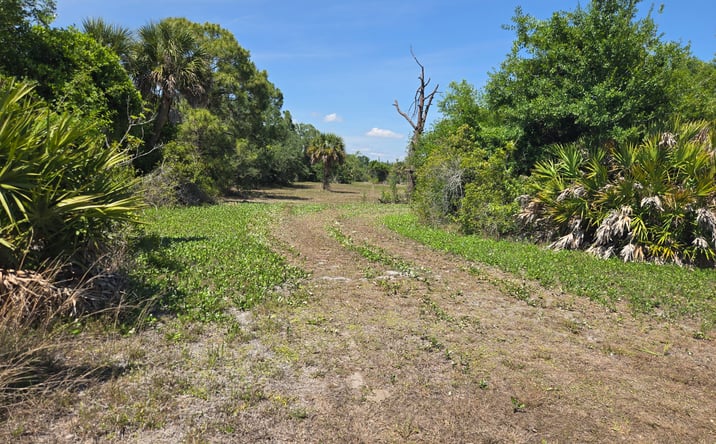 Pictures of Land property located at 141 ANCHOR RD, ROTONDA WEST, FL 33947 for sales - image #1