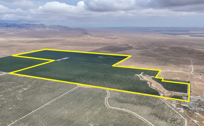 Pictures of Land property located at York Avenue, Avenal, CA 93204 for sales - image #1