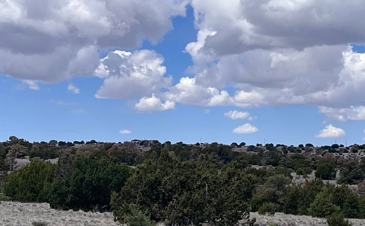 Pictures of Land property located at 69 Wildflower Trail, Quemado, NM 87829 for sales - image #1
