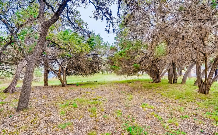 Pictures of Land property located at 6703 BAR K RANCH RD, LAGO VISTA, TX 78645 for sales - image #1