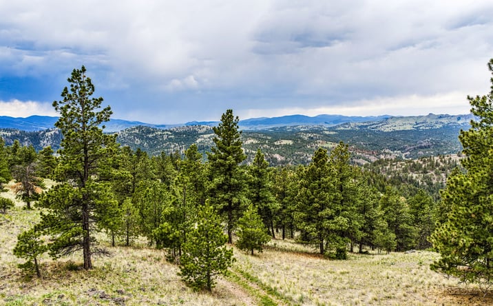 Pictures of Land property located at TBD Ridge Crest Lane, Cascade, MT 59421 for sales - image #1