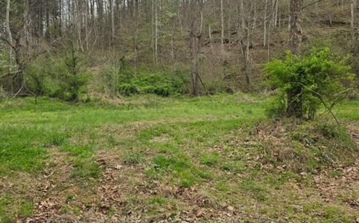 Pictures of Land property located at 38 Stumbo Rd, Isonville, KY 41149 for sales - image #1