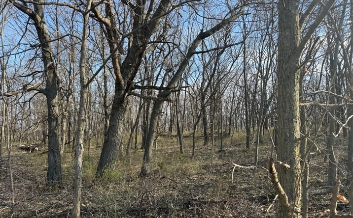 Pictures of Land property located at 0 E 252nd Avenue, Eagleville, MO 64442 for sales - image #1