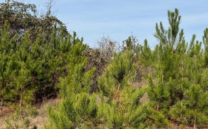 Pictures of Land property located at Hempstead 200, Hope, AR 71801 for sales - image #1