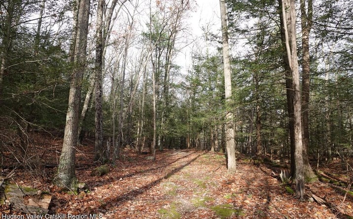 Pictures of Land property located at 738 Manorville Road, Saugerties, NY 12477 for sales - image #1