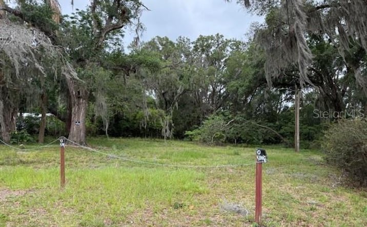 Pictures of Land, Mixed Use property located at 412 York St, Wildwood, FL 34785 for sales - image #1