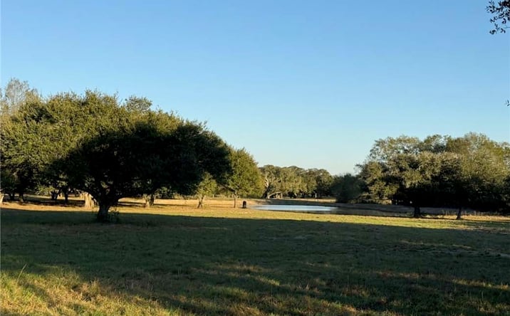 Pictures of Land property located at TBD Rubin Lee Rd, Cat Spring, TX 78933 for sales - image #1