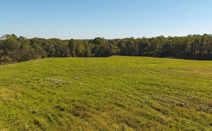 Pictures of Land property located at TBD US 21 Highway, Hamptonville, NC 27020 for sales - image #1