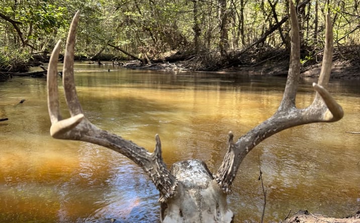 Pictures of Land property located at Avera Rd, Roberta, GA 31078 for sales - image #1