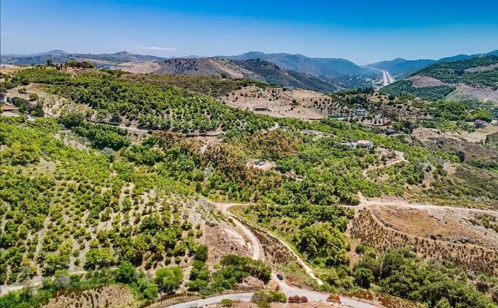 Pictures of Land property located at 31675 Rancho Amigos Rd Unit 1, Bonsall, CA 92003 for sales - image #1