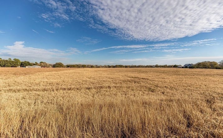 Pictures of Land property located at 0 Miller Road, Bellville, TX 77418 for sales - image #1