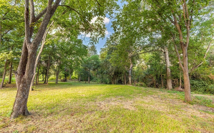 Pictures of Land property located at 143 Wild Phlox Drive, Bellville, TX 77418 for sales - image #1