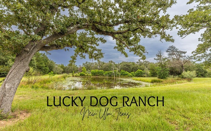 Pictures of Land property located at 1126 Abel Road, New Ulm, TX 78950 for sales - image #1