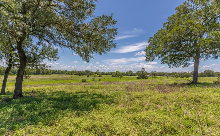 Pictures of Land property located at 8 Mill Creek Ranch Road, New Ulm, TX 78950 for sales - image #1