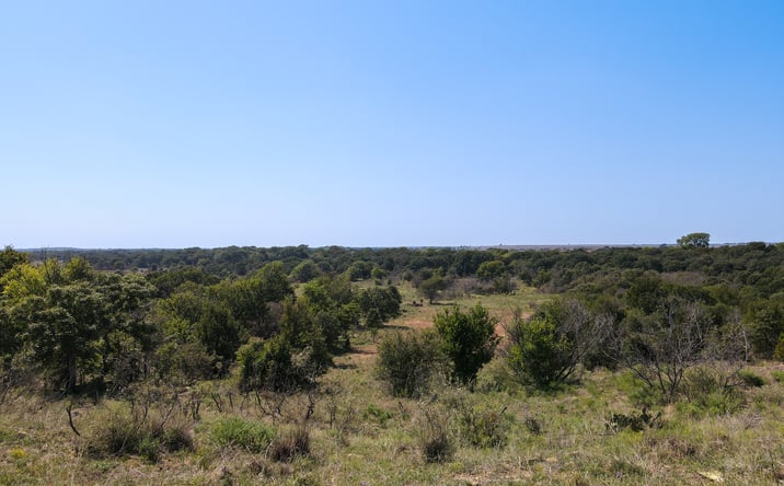 Pictures of Land property located at 1.15± mi east of Milam Rd and Dutton Rd, Ringgold, TX 76261 for sales - image #1