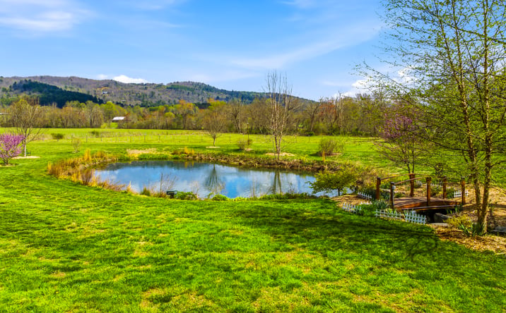 Pictures of Retail, Hospitality, Special Purpose property located at 90 Woody Farm Drive, Pisgah Forest, NC 28768 for sales - image #1