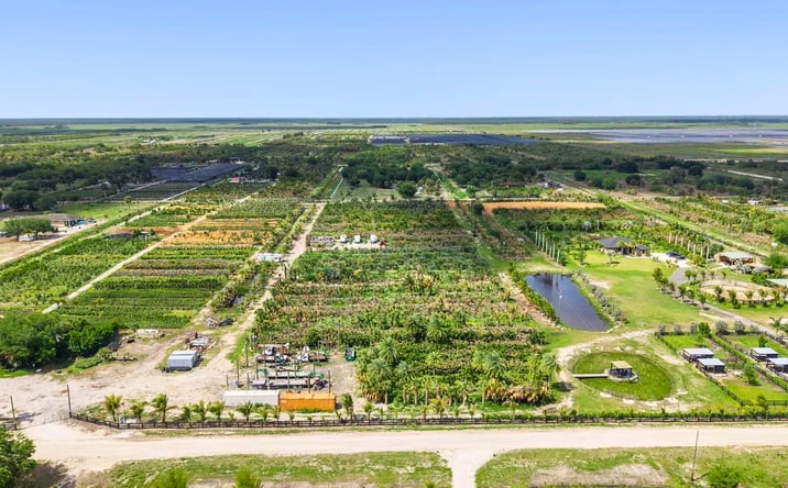 Pictures of Land property located at 20231 Antoinette St, Loxahatchee, FL 33470 for sales - image #1