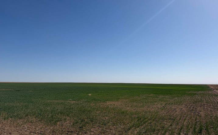 Pictures of Land property located at 600 6 Rds, Flagler, CO 80815 for sales - image #1