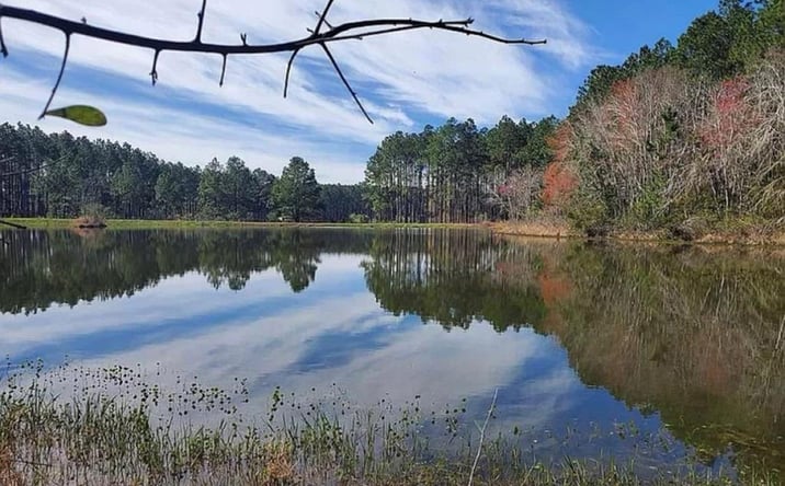 Pictures of Land property located at 221 1st St, Arabi, GA 31712 for sales - image #1