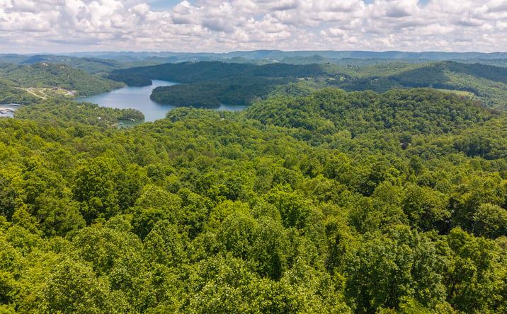 Pictures of Land property located at Lot 187 Cottage Lane, New Tazewell, TN 37825 for sales - image #1