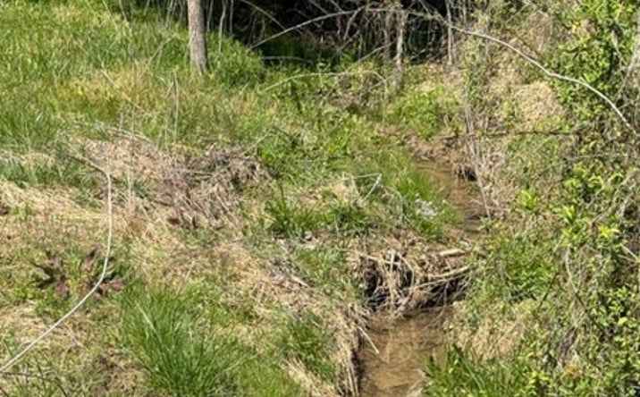 Pictures of Land property located at 2824 Goshen Valley Road, Church Hill, TN 37642 for sales - image #1