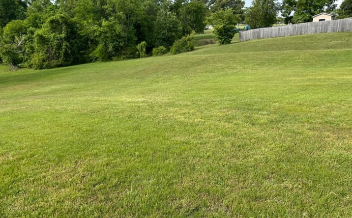 Pictures of Land property located at 5552 Thompsie Drive, Russellville, TN 37860 for sales - image #1